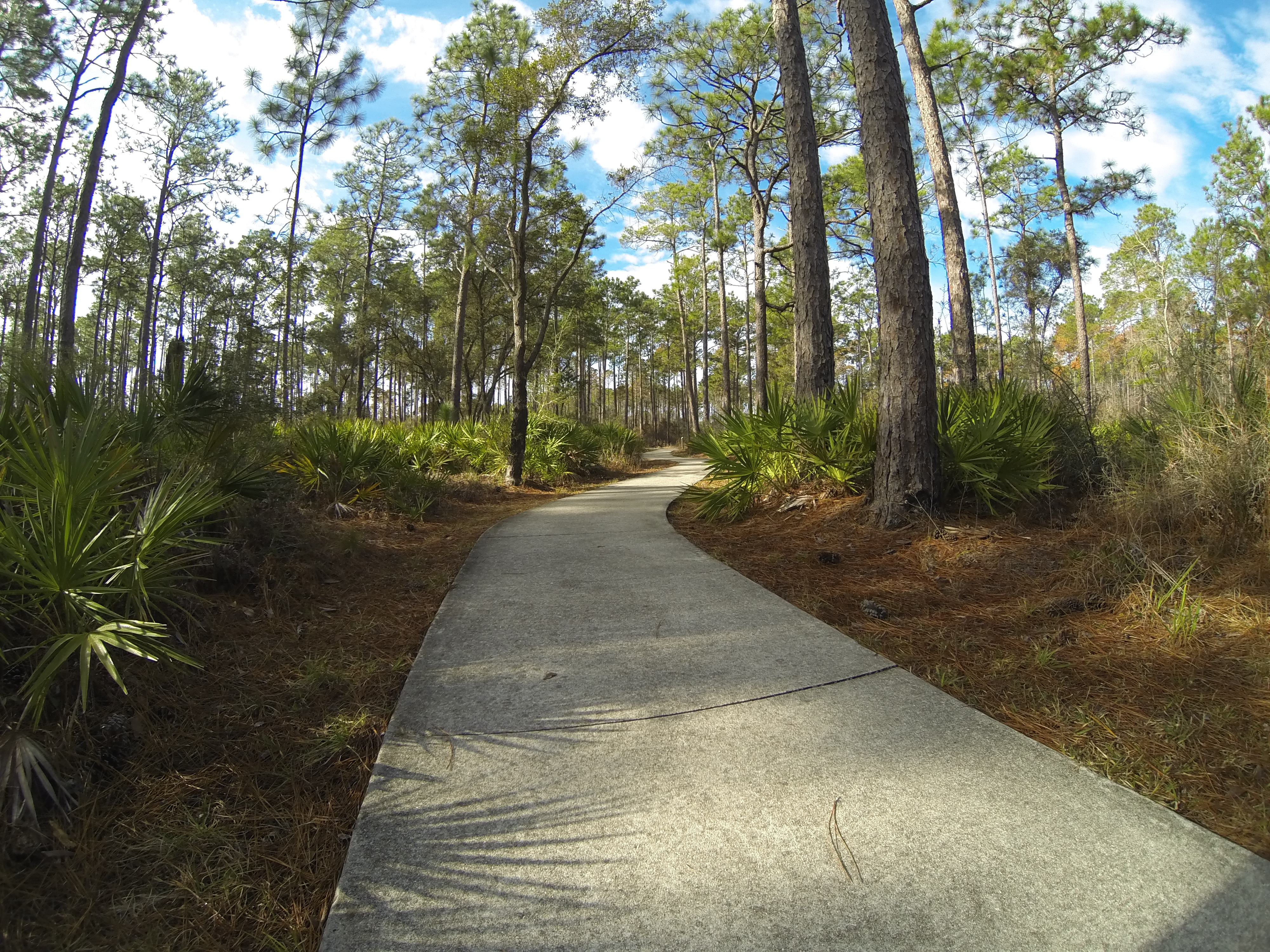 Tarkiln Bayou Preserve State Park – Pensacola Vibes