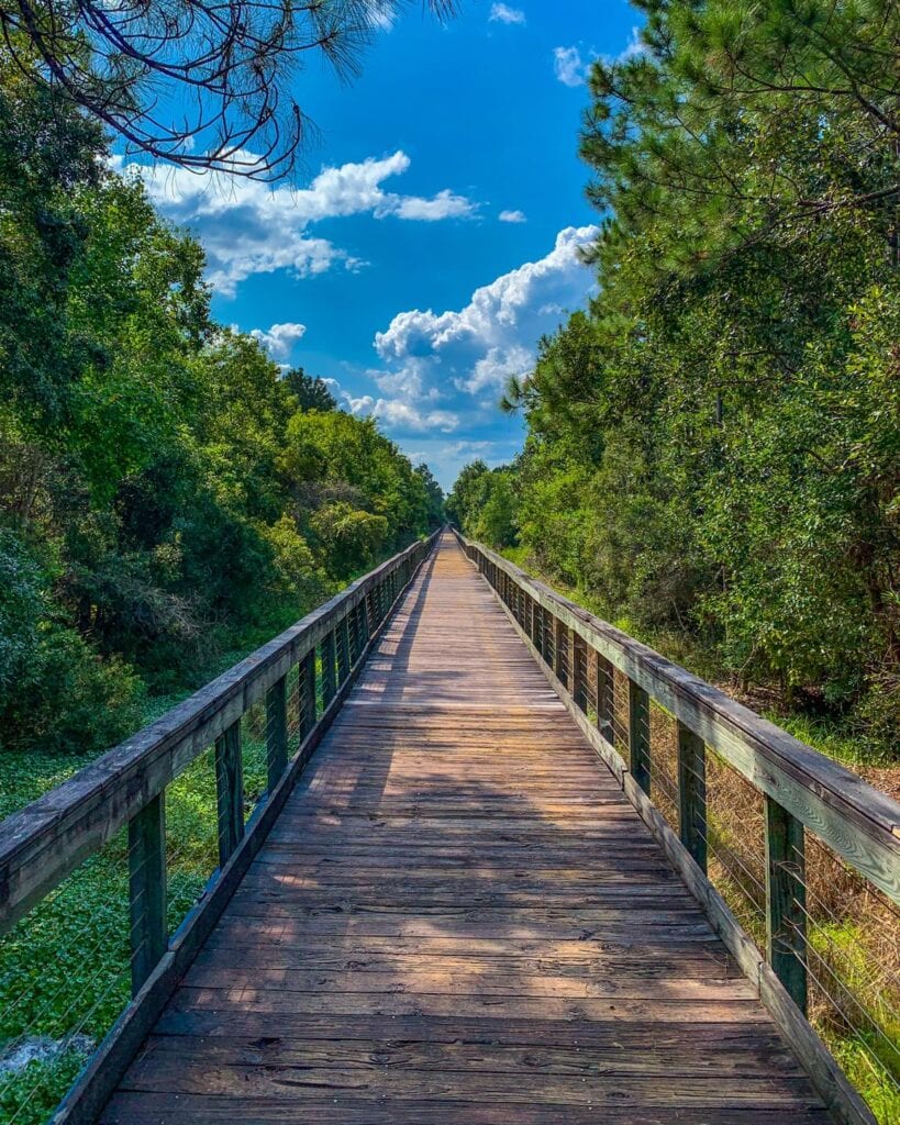 Marcus Bayou Wetland