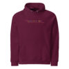 Funky Pensacola Unisex Eco Raglan hoodie